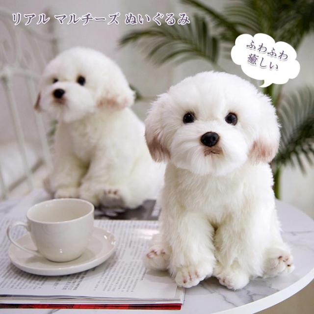 ぬいぐるみ 犬 マルチーズ 犬ぬいぐるみ 人形 子供 おもちゃ