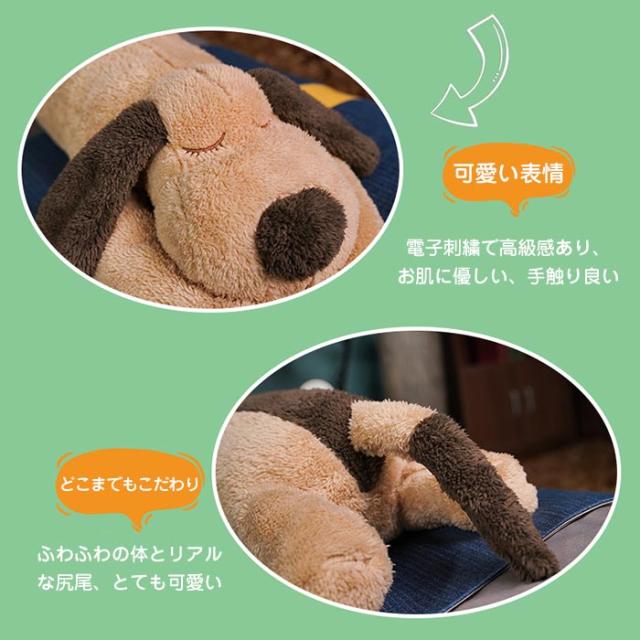 犬のぬいぐるみ【特大】 楽天市場】ぬいぐるみ 犬 いぬ ビションフリーゼ パプス 犬の