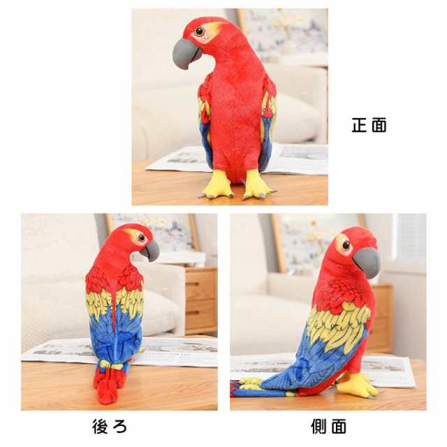 ぬいぐるみ インコ 鸚鵡 鳥 シミュレーション リアル オウム おもちゃ 鸚鵡 バード 癒しグッズ 可愛い オカメインコ セキセイインコ 動物おもちゃ  クリスマス インテリア 子供 贈り物 プレゼントの通販はau PAY マーケット - ゆゆか | au PAY マーケット－通販サイト