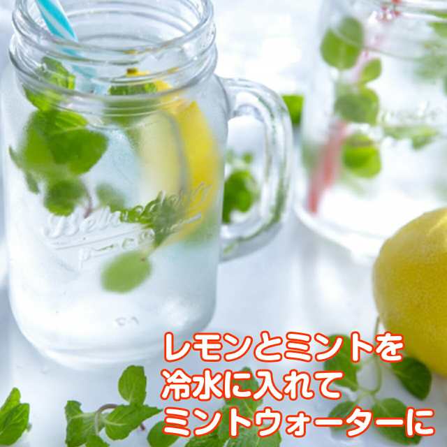 Amazon.co.jp: ハーブ栽培