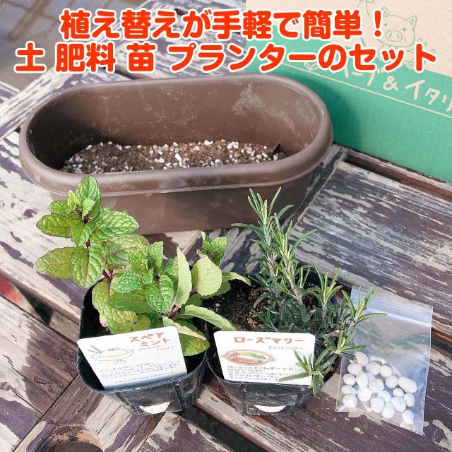 ハーブ 栽培キット 苗 セット プラ製プランター かわいい 寄せ植え ハーブティー ハーブガーデン 観葉植物 送料無料 バジル ローズマリの通販はau Pay マーケット ハーブ苗のポタジェガーデン ハーブ 栽培キット 苗 セット プラ製プランター かわいい 寄せ植え ハーブティー ハーブガーデン 観葉植物 送料無料 バジル ローズマリの通販はau Pay マーケット ハーブ苗のポタジェガーデン