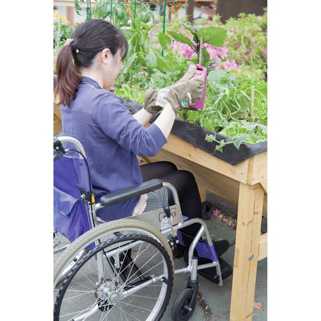 ホームベジトラグ L（タカショー 植木鉢 家庭菜園 大型 スタンド 野菜