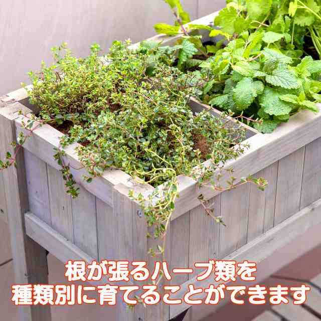 タカショー(Takasho) 菜園 ベジ菜園フレーム H34cm 【VGT-RB02】 鉢