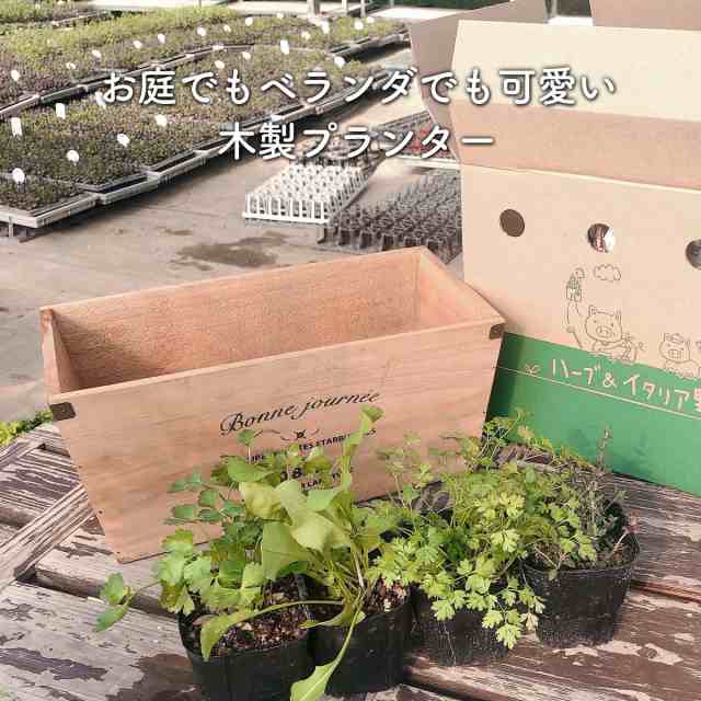 プランター 植木鉢 鉢 おしゃれ 木製 家庭菜園 大型 スタンド 野菜 ラック オシャレ カバー 腐葉土 雑草 屋外 バスケット 置くだけ 室内の通販はau Pay マーケット ハーブ苗のポタジェガーデン