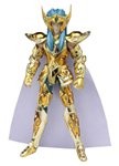 聖闘士星矢 聖闘士聖衣神話 アクエリアスカミュ（中古品）