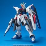 1/100 フリーダムガンダム (機動戦士ガンダムSEED)（中古品）