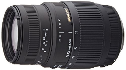 SIGMA 望遠ズームレンズ 70-300mm F4-5.6 DG MACRO キヤノン用 フ（中古品）