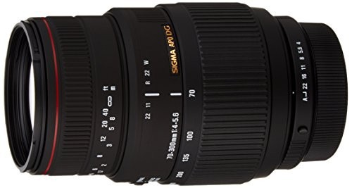 SIGMA 望遠ズームレンズ APO 70-300mm F4-5.6 DG MACRO ペンタックス用 フ（中古品）