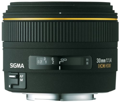 販売サイト シグマ 30mm F1.4 EX DC デジタル専用 ソニー用（品