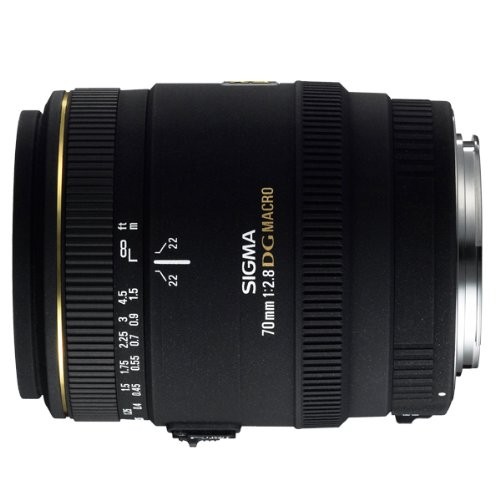 SIGMA 単焦点マクロレンズ MACRO 70mm F2.8 EX DG キヤノン用 （中古品）