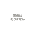 THE SECOND SESSION~KIKKAWA KOJI LIVE 2007 CLUB JUNGLE EXTRA TARZAN RET（中古品）