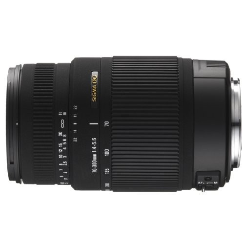 シグマ 70-300mm F4-5.6 DG OS ペンタックス用 70-300mm F4-5.6 DG OS PA（中古品）