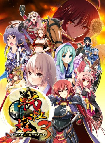 戦極姫3~天下を切り裂く光と影~ (豪華限定版) - PSP（中古品）