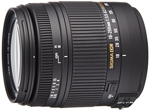 SIGMA 高倍率ズームレンズ 18-250mm F3.5-6.3 DC MACRO HSM ソニー用（中古品）