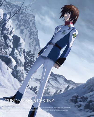 機動戦士ガンダムSEED DESTINY HDリマスター Blu-ray BOX (MOBILE SUIT GUN（中古品）