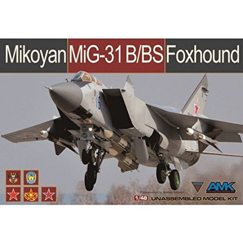 アバンギャルドモデル 1/48 ミコヤーン MiG-31B/BS フォックスハウンド プ（中古品）