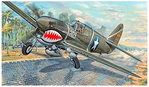 トランペッター 1/32 アメリカ陸軍航空隊 P-40F ウォーホーク プラモデル 0（中古品）の通販は