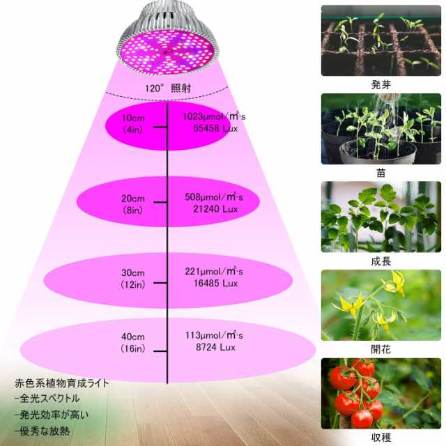 LED植物育成ライト 80W相当 赤色 E26口金 フルスペクトラム 植物育成用ランプ 水耕栽培ライト 室内用ライト 省エネ 長寿命 ガーデニング  の通販はau PAY マーケット - MeToo Store | au PAY マーケット－通販サイト