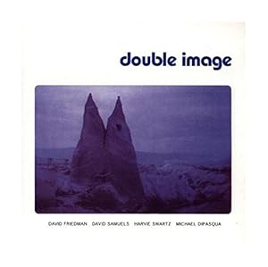 Double Image(中古品) Nintendo Switch 中古品 ロックマン ゼロ