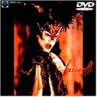 カストラート [DVD](中古品)の通販は 6,187円