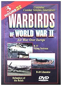 Warbirds of World War II [DVD](中古品)