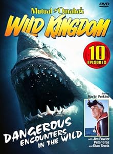 その他 Aviation Week 2 [DVD] 中古】Aviation Week 2 [DVD]の通販は