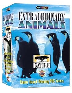 Nature: Extraordinary Animals [DVD](中古品)の通販は 7,253円