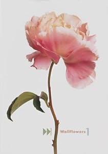 Wallflowers 1 [DVD](中古品)の通販はその他映像DVD・Blu-ray