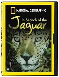 In Search of the Jaguar [DVD](中古品)の通販は