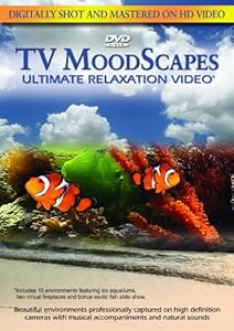 TV Moodscapes: Ultimate Relaxation Video [DVD](中古品)の通販は 7,565円