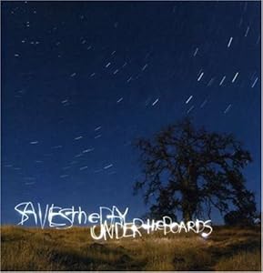 Under the Boards (W/Dvd)(中古品)