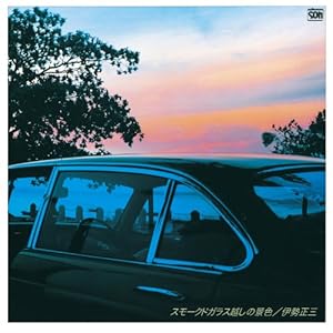 スモークドガラス越しの景色(中古品)の通販は