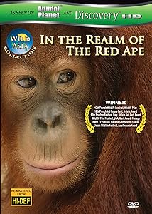 Wild Asia: In the Realm of the Red Ape [DVD](中古品) 8,562円