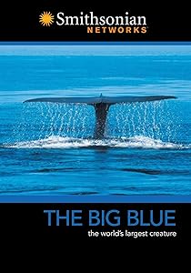 Big Blue [DVD](中古品)の通販は 6,040円