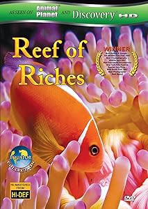Equator: Reefs of Riches [DVD](中古品)の通販は 6,638円