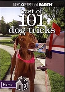 Best of 101 Dog Tricks [DVD](中古品)の通販は 10,304円
