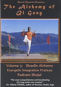 Alchemy of Qi Gong 3: Sholin Alchemy - Energetic [DVD](中古品)の通販は