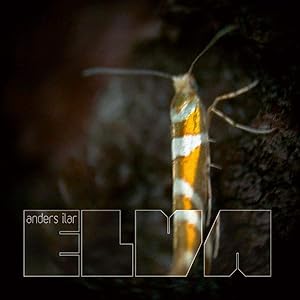 Elva Remixes [Analog](中古品) 17,790円