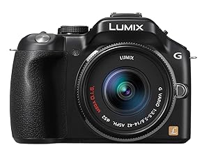 LUMIX DMC-G5ミラーレスカメラ ブラック　ジャンク ジャンク】Panasonic DMC-G5 LUMIX ミラーレス一眼