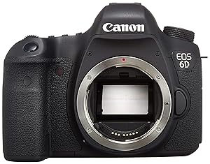 Canon デジタル一眼レフカメラ EOS 6Dボディ EOS6D(中古品) 