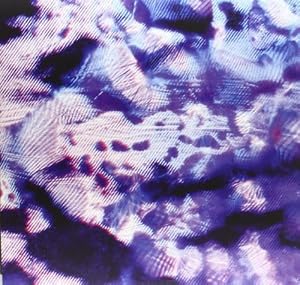 Nvmb [Analog](中古品)の通販は 19,477円