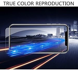 Documentary By Angelo Bozzolini [DVD](中古品)