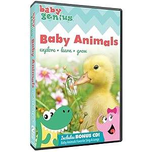 Baby Genius: Baby Animals [DVD](中古品)の通販は 10,321円