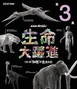 ＮＨＫスペシャル 生命大躍進 第３集 [Blu-ray](中古品)の通販は 6,817円