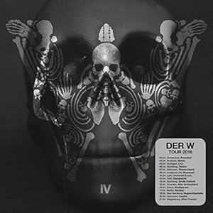 Iv [Analog](中古品)の通販は 17,168円