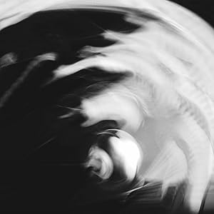 Exclusion [Analog](中古品)の通販は 13,088円