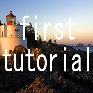 tutolversion [DVD](中古品)の通販は