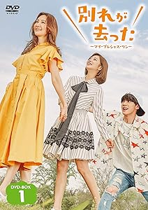 別れが去った~マイ・プレシャス・ワン~ DVD-BOX1(中古品)の通販は 14,066円