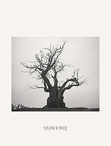 SEKAI NO OWARI 2010-2019[完全生産限定プレミアムBOX](中古品)の通販は