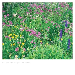 2 Years / 2 Years in Silence [Analog](中古品)の通販は